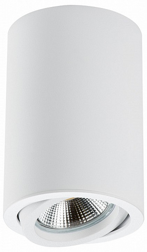 Светильник точечный Lightstar Rullo HP16 накладной декоративный под заменяемые галогенные или LED лампы 214406 белый