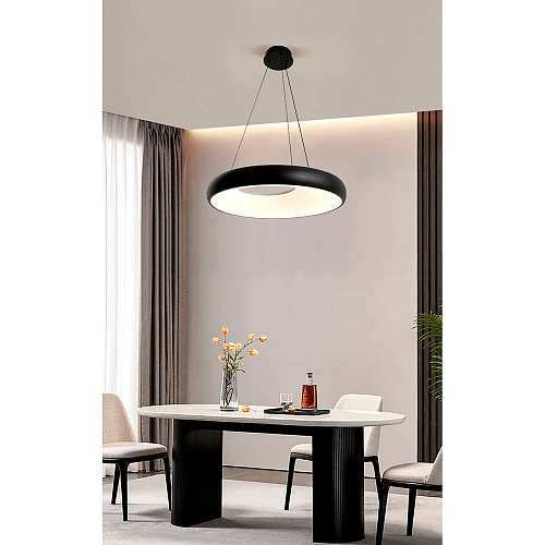 Подвесной светильник 50*35-160 см, 1*LED, 60W, 3000K, Lussole Crook LSP-7362, черный