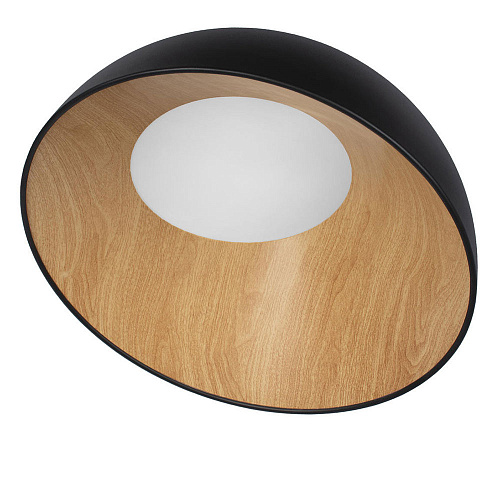 Потолочный светильник LED 36W 4000К 10197/500 Black чёрный Egg LOFT IT