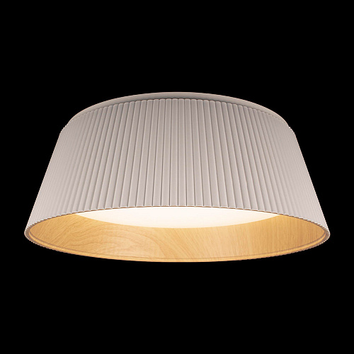 Потолочный светильник LED 24W 4000К 10224 White белый Evans LOFT IT