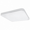 Накладной светодиодный светильник 226204 белый 4000K 20W Arco Lightstar