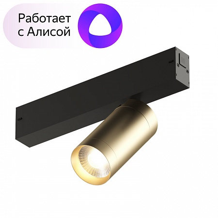 Denkirs DK8010-BG Акцентный светильник SMART SPOT 9W DIM 3000K-6000K, матовое золото с черным