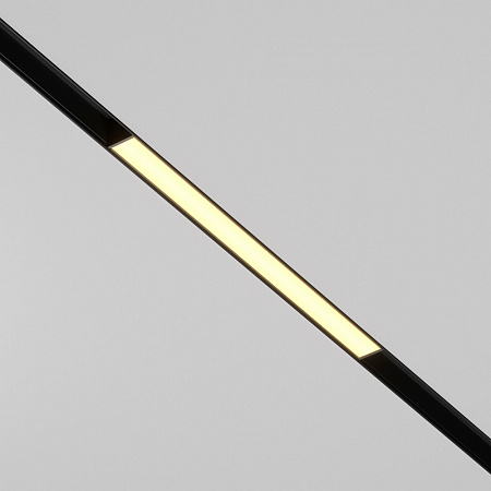 Трековый светильник Maytoni Exility Basis TR030-2-12W2.7K-B