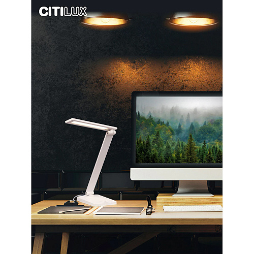 Лампа настольная Citilux Ньютон CL803080