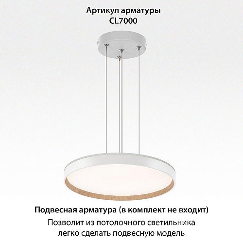 Светильник потолочный Citilux Etalon CL750400R
