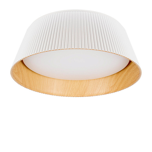 Потолочный светильник LED 24W 4000К 10224 White белый Evans LOFT IT