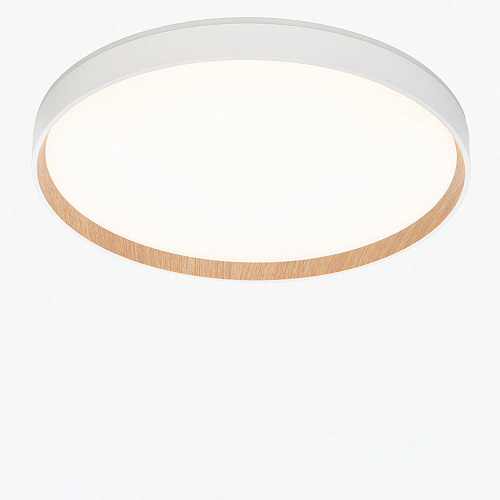 Светильник потолочный Citilux Etalon CL750400R