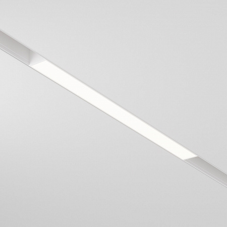 Трековый светильник Maytoni Exility Basis TR030-2-12W3K-W