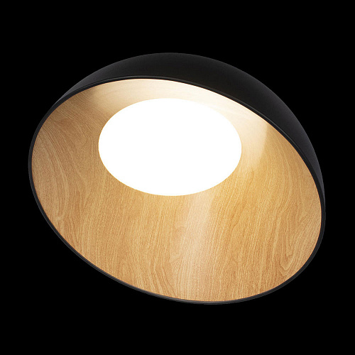 Потолочный светильник LED 36W 4000К 10197/500 Black чёрный Egg LOFT IT