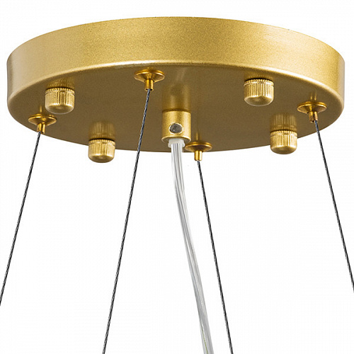 Подвесная люстра Lightstar Savona 816202, овал 100*45 см, золото